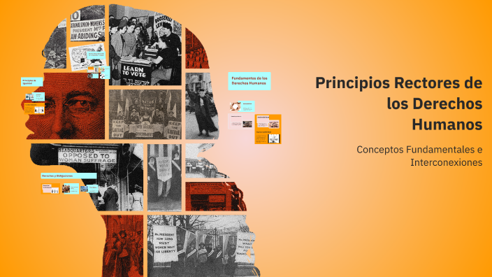 Principios Rectores de los Derechos Humanos by Judith Lizarraga on Prezi