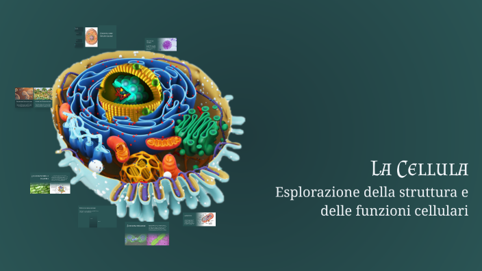 La Cellula by tommaso signore on Prezi