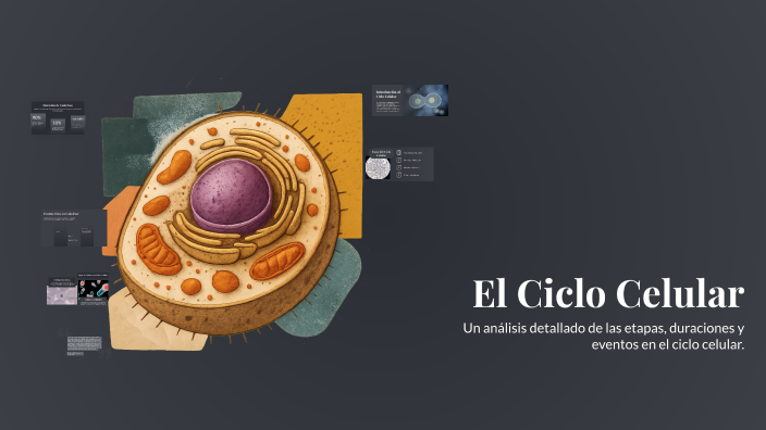 El Ciclo Celular by Alexander Lara on Prezi