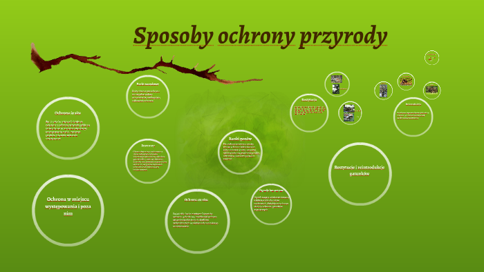 Sposoby ochrony przyrody by Edyta Dzwonkowska on Prezi
