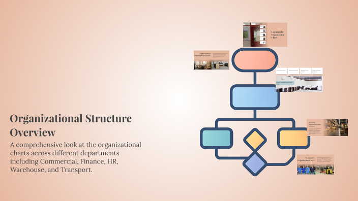 Organizational Structure Overview by Donna Hayle on Prezi
