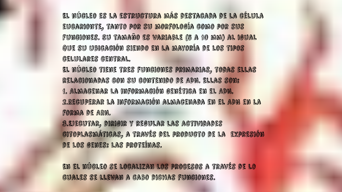 El núcleo es la estructura más destacada de la célula eucari by Camila ...