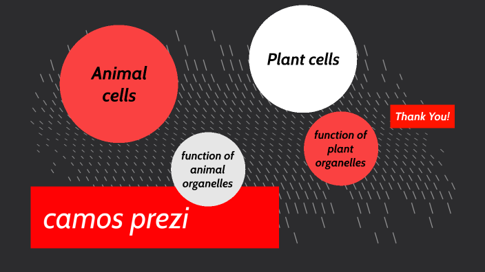 animal and plant cells understanding by Camden Crabtree on Prezi