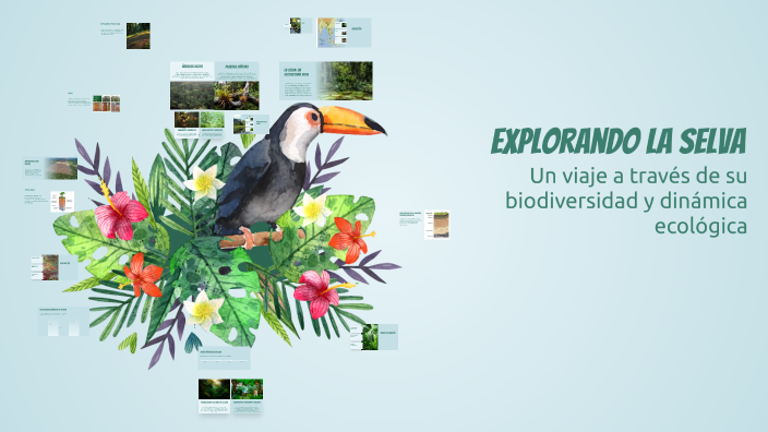 Explorando La Selva by rosales aguilar dylan sadrack on Prezi