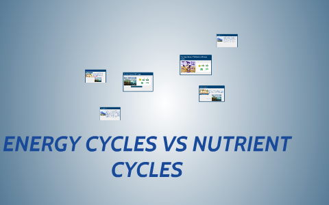 The Nitrogen Cycle by on Prezi