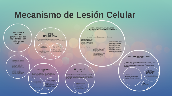 MECANISMO DE LESION CELULAR by estefania suarez on Prezi