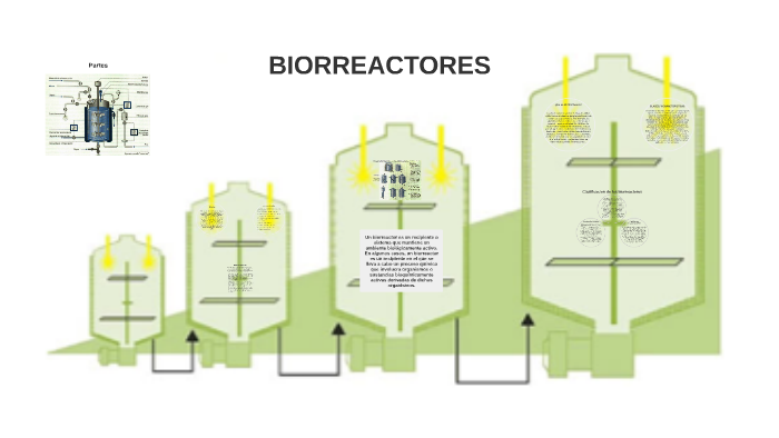 Cuadro Comparativo De Caracteristicas De Biorreactores Quimica Images