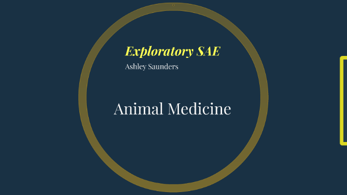 exploratory-sae-by-ashley-saunders