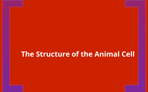Animal Cell Structures by Josh Cole on Prezi