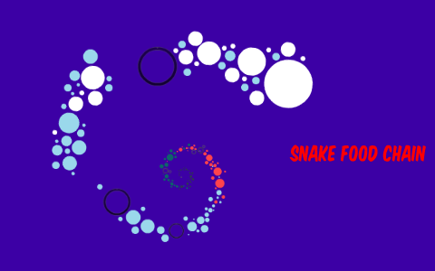 Python food chain by Christian Borras on Prezi