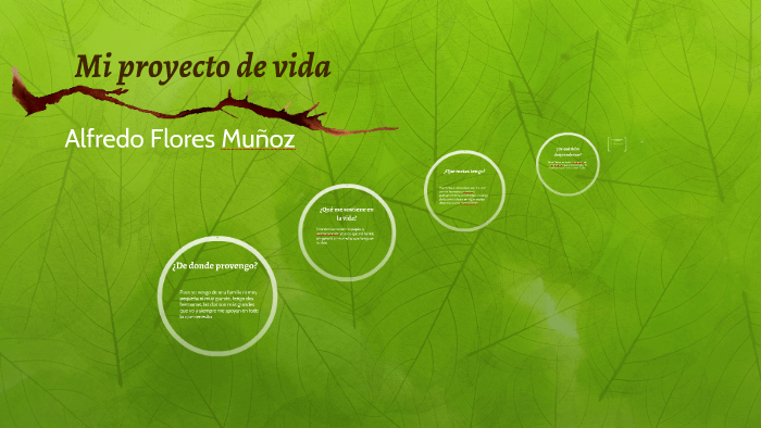 Mi proyecto de vida by Alfredo Flores on Prezi
