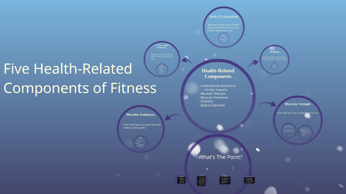 Five Health Related Components Of Fitness By Beau Davies