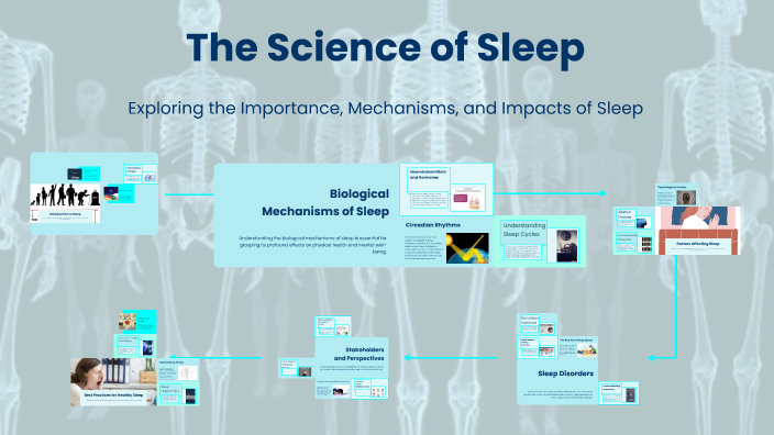 The Science of Sleep by Olivia Persichetti on Prezi