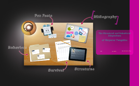 The Structural and Behavioral Adaptations of a Emperor Penguin by