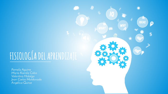 FISIOLOGÍA DEL APRENDIZAJE by Kamila Cobo on Prezi