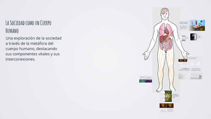 La Sociedad como un Cuerpo Humano by Emilio Miranda on Prezi