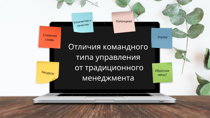 В чем заключаются основные отличия традиционного менеджмента и управления проектами