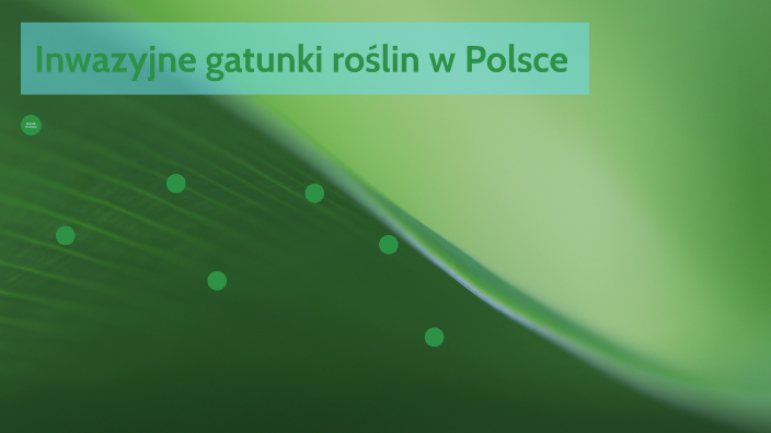 Inwazyjne Gatunki Ro lin W Polsce By Cezary Adamski On Prezi inwazyjne-gatunki-ro-lin-w-polsce-by-cezary-adamski-on-prezi