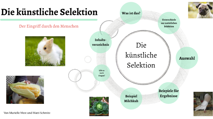 künstliche sauerstoffzufuhr Sauerstoffflasche medizinischer Sauerstoff 3,0 Liter Volumen – Oxyparat main image 1
