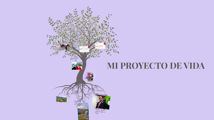 MI PROYECTO DE VIDA by cristian camilo mrndoza herrera on Prezi