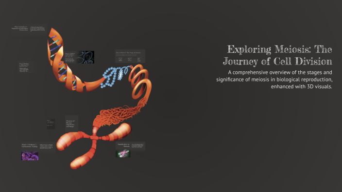 Exploring Meiosis: The Journey of Cell Division by Raja Kamar on Prezi