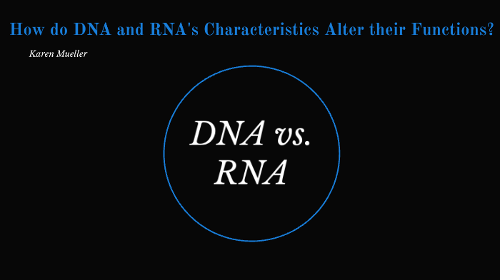 DNA vs. RNA by Karen Mueller on Prezi
