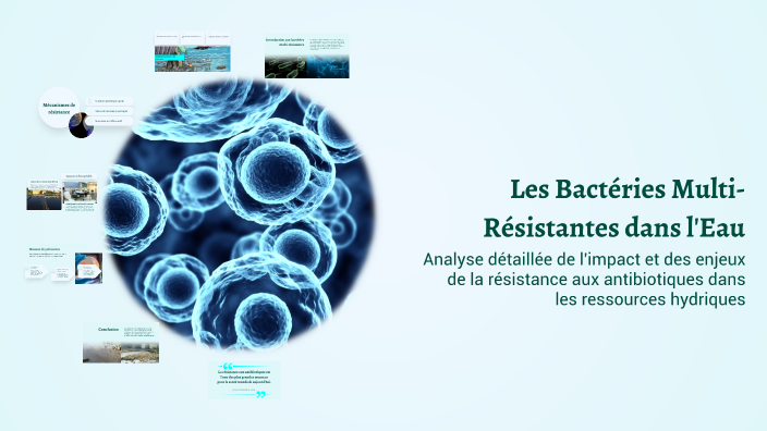 Les Bactéries Multi-Résistantes dans l'Eau by محمد سيف on Prezi
