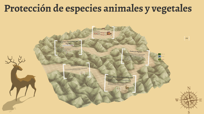 Protección De Especies Animales Y Vegetales By Jesus Garcia Morales On ...