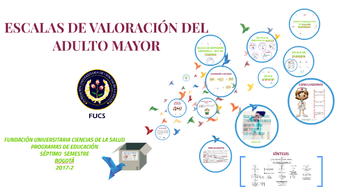 Escalas De ValoraciÓn Del Adulto Mayor By Juliana Aguiar On Prezi 0854