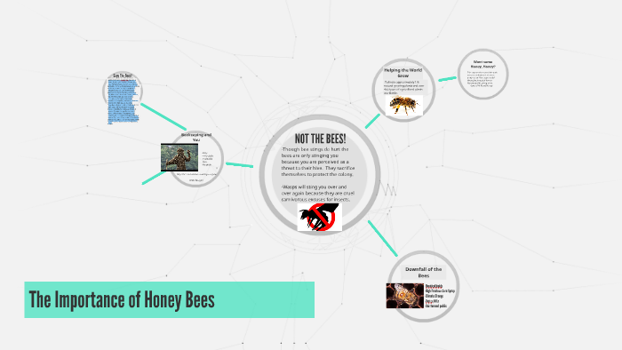 The Importance of Honey Bees by Gabriel Dansdill on Prezi