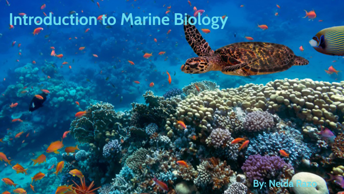 Introduction to Marine Biology by neida razo on Prezi Next