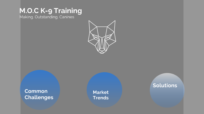 moc k9 training