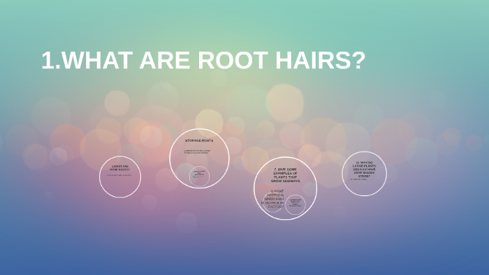 what-are-root-hairs-by-lenard-gonzalez