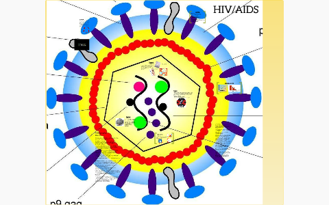 HIV/AIDS Project by nadeen sukhon on Prezi