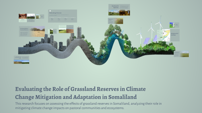 Evaluating the Role of Grassland Reserves in Climate Change Mitigation ...