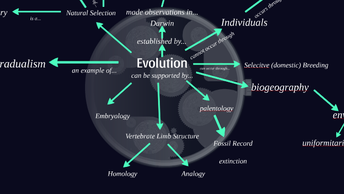 Evolution Map Model B2G4 Evolution Concept Map by Isha Gill on Prezi