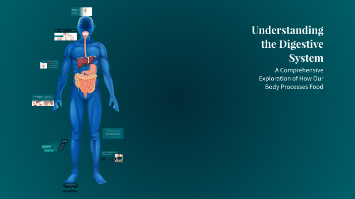Understanding the Digestive System by mamarha c.m on Prezi