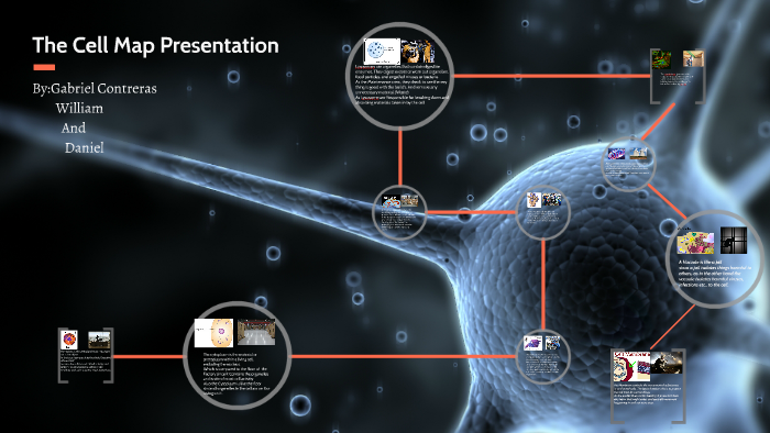 Cell Reference Map The Cell Map Presentation by Gabriel Contreras on Prezi