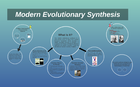 Modern synthesis deals easy definition