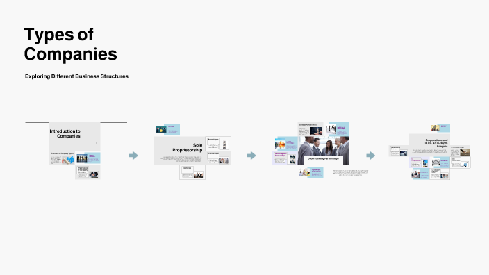 Companies Types Types of Companies by Dunyo Alijahan on Prezi