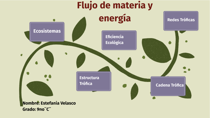 Flujo De Materia Y Energía By Estefania Amelia Velasco Lopez