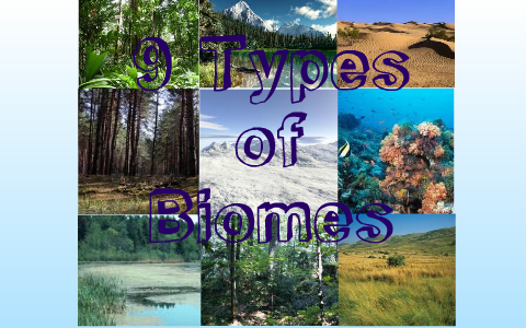 9 Types of Biomes by Damary Gutierrez on Prezi