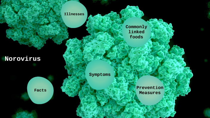 norovirus presentation prezi