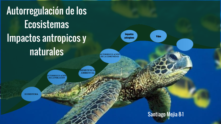 Autorregulacion ciencias naturales santiago by gladys arrieta on Prezi