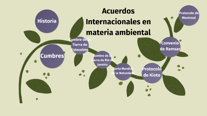 Acuerdos Internacionales En Materia Ambiental by Pedro Luis Chávez