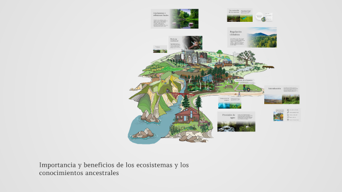 Importancia y beneficios de los ecosistemas y los conocimientos ...