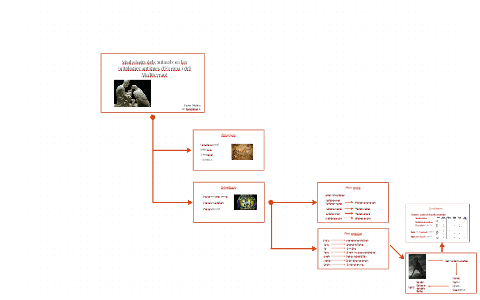 Simbologia dels animals en les mitologies antigues d'Europa by Xavier ...