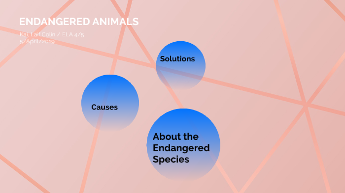 causes-of-endangered-species-by-k-daudsyah