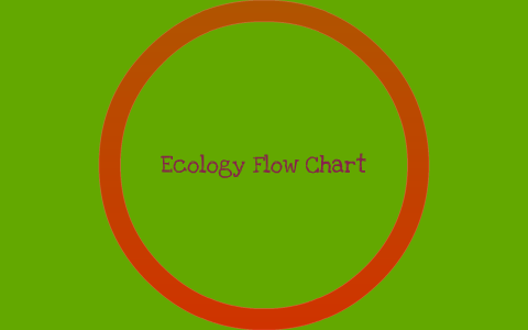 Ecology Flow chart by Praneeth Erwin Luck Eddu