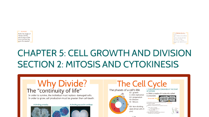 CHAPTER 5: CELL GROWTH AND DIVISION by Megan Petrillo on Prezi